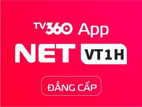 NETVT1H_DANGCAP