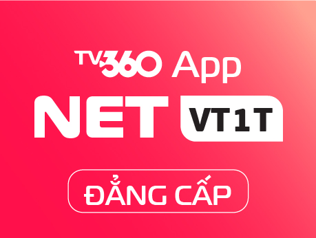 NETVT1T-DANGCAP