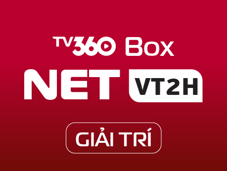 MESHVT1H_GIAITRI